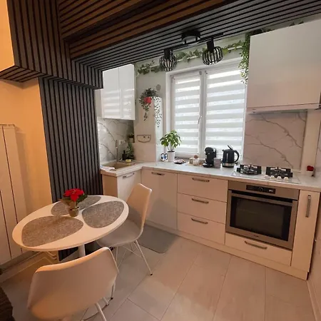 شقة Nedianu كرايوفا